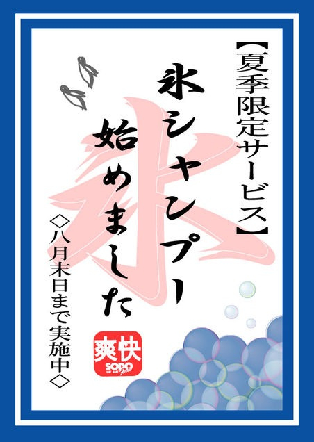 【夏季限定】氷シャンプー始めました！