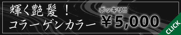 特別キャンペーン
