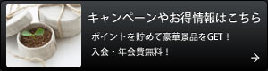 キャンペーンやお得情報